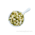 Premium Tinggi Bunga Jasmine Bunga